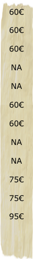 60€
60€
60€
na
na
60€
60€
na
NA
75€
75€
95€